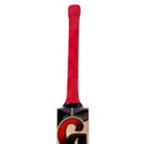 CA Pro 15000 Performance Edition English Willow Cricket Bat CA