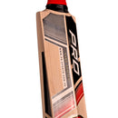 CA Pro 15000 Performance Edition English Willow Cricket Bat CA