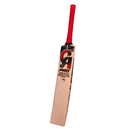 CA Pro 15000 Performance Edition English Willow Cricket Bat CA