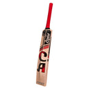 CA Pro 15000 Performance Edition English Willow Cricket Bat CA