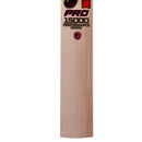 CA Pro 15000 Performance Edition English Willow Cricket Bat CA