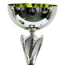 Rio Vista Silver & Green Metal Bowl Trophy Cup - Cricket shop italy