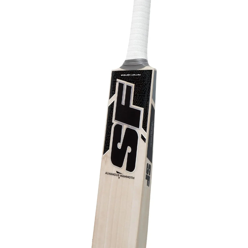 SF Almandus Mammoth English Willow Cricket Bat Cricket shop italy