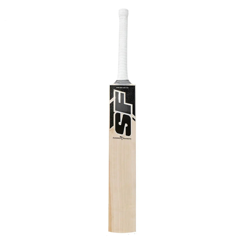 SF Almandus Mammoth English Willow Cricket Bat Cricket shop italy