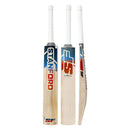 SF INCREDIBLE 12000 Cricket Bat SF