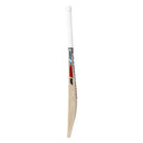 SF INCREDIBLE 12000 Cricket Bat SF
