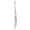 SF TRANSFORMATION 4.0 English Willow Cricket Bat SF
