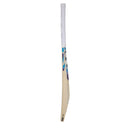 SG Nexus Plus Kashmir Willow Cricket Bat SG