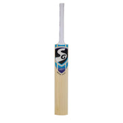 SG Nexus Plus Kashmir Willow Cricket Bat SG