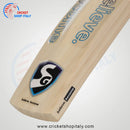 SG Nexus Plus Kashmir Willow Cricket Bat SG
