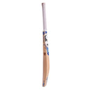 SG HP Pro Kashmir Willow Cricket Bat SG