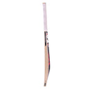 SG KLR Plus Kashmir Willow Cricket Bat SG