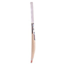 SG RP Spark Kashmir Willow Cricket Bat SG