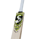 SG Sierra 250 English willow Cricket bat SG