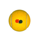 Shine Cricket Tape ball 3 ball pack - Cricket shop italy