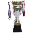 Prestige Victory Cricket Trophy DS Sports