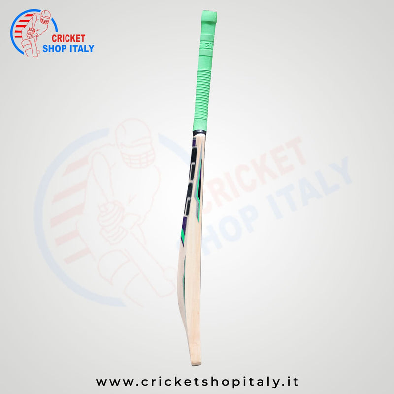 SS Magnet Kashmir Willow Cricket Bat