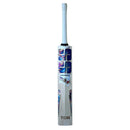 SS Champion English Willow Cricket Bat SS