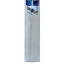 SS Champion English Willow Cricket Bat SS