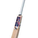 SS Champion English Willow Cricket Bat SS