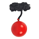 SS Cricket Ball Hanging SS