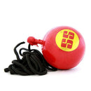 SS Cricket Ball Hanging SS
