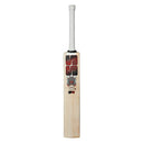 SS Devils bat (Red) Kashmir Willow Cricket Bat SS