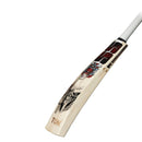 SS Devils bat (Red) Kashmir Willow Cricket Bat SS
