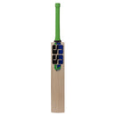 SS Dynasty English Willow Cricket Bat - Cricket shop italy