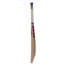 SS Josh Kashmir Willow Cricket Bat - Cricket shop italy