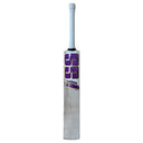 SS Master 500 English Willow Cricket Bat SS
