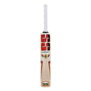 SS Rinku Singh Kashmir Willow Cricket Bat - Cricket shop italy