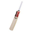 SS Rinku Singh Kashmir Willow Cricket Bat - Cricket shop italy