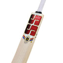 SS Rinku Singh Kashmir Willow Cricket Bat - Cricket shop italy