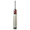 SS Soft Pro Premium Player Scoop Kashmir willow Cricket Bat SS