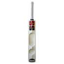 SS Soft Pro Premium Player Scoop Kashmir willow Cricket Bat SS