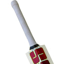 SS Soft Pro Premium Player Scoop Kashmir willow Cricket Bat SS