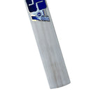SS Sky 360 Junior English Willow Bat SS
