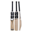 SS Sky Smasher  Kashmir Willow Cricket Bat - Cricket shop italy