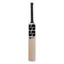 SS Sky Smasher  Kashmir Willow Cricket Bat - Cricket shop italy