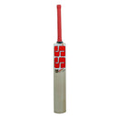 SS Sky Super Kashmir Willow Cricket Bat - Cricket shop italy
