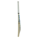 SS Sky Thunder English Willow Cricket Bat SS