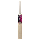 SS TON PLAYER 3000 English Willow Cricket Bat SS