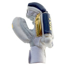 SS Ton Blue Label Cricket Batting Gloves SS