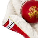 SS Ton Super Wicket Keeping Gloves SG