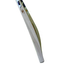 SS Ton Thala 2.0 English Willow Cricket Bat SS