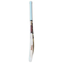 SS Master 2000 English Willow Cricket Bat SS