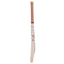 SS Ton Vertu English Willow Cricket Bat SS