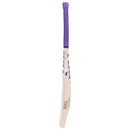SS TON Glory English Willow Cricket Bat -2025 - Cricket shop italy