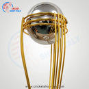 Cricket World Cup Trophy CSI